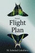 Flight Plan (eBook, ePUB) - Bild 1