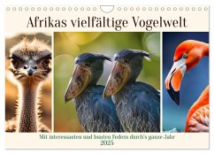 Afrikas vielfältige Vogelwelt (Wandkalender 2025 DIN A4 quer), CALVENDO Monatskalender