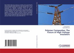Cover Polymer Composites: The Future of High Voltage Insulators