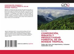 Cover COMPOSICIÓN, RIQUEZA Y PRODUCTIVIDAD FORESTAL DE UN BOSQUE TROPICAL