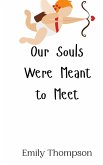 Our Souls Were Meant to Meet Our Souls Were Meant to Meet