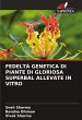 FEDELTÀ GENETICA DI PIANTE DI GLORIOSA... - Bild 1