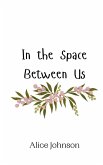 In the Space Between Us