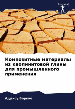 Cover Kompozitnye materialy iz kaolinitowoj gliny dlq promyshlennogo primeneniq