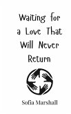Waiting for a Love That Will Never Return Waiting for a Love That Will Never Return