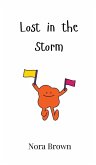 Lost in the Storm