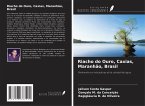 Riacho do Ouro, Caxias, Maranhão, Brasil