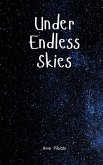 Under Endless Skies