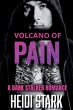 Volcano of Pain - Bild 1