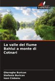 La valle del fiume Bahlui a monte di Cotnari