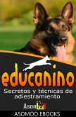 Educanino (eBook, ePUB)