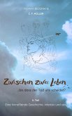 Zwischen zwei Leben II. Teil (eBook, ePUB)