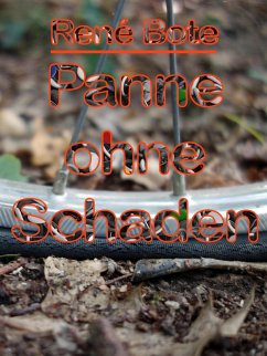 Cover Panne ohne Schaden (eBook, ePUB)