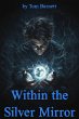 Within the Silver Mirror (eBook, ePUB) - Bild 1