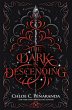The Dark Is Descending (eBook, ePUB) - Bild 1