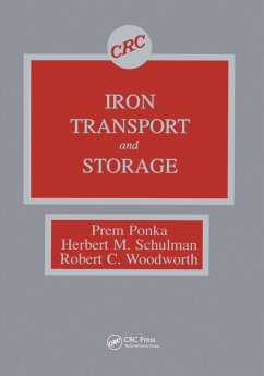 Cover Iron Transport and Storage (eBook, ePUB)