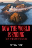 Now the World is Ending (eBook, ePUB)