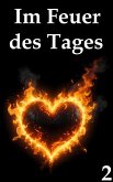 Im Feuer des Tages 2 (eBook, ePUB) Im Feuer des Tages 2 (eBook, ePUB)