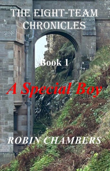 A Special Boy (The Eight-Team Chronicles, #1) (eBook, ePUB)