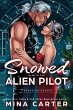 Snowed in with the Alien Pilot... - Bild 1