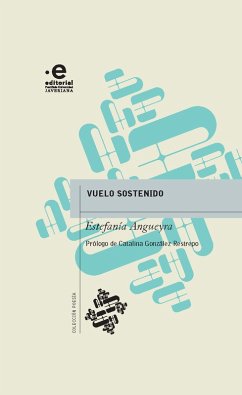 Cover Vuelo sostenido (eBook, ePUB)