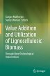 Value Addition and Utilization of... - Bild 1