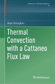 Thermal Convection with a Cattaneo Flux Law (eBook, PDF)