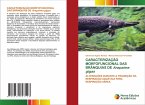 CARACTERIZAÇÃO MORFOFUNCIONAL DAS BRÂNQUIAS DE Arapaima gigas CARACTERIZAÇÃO MORFOFUNCIONAL DAS BRÂNQUIAS DE Arapaima gigas