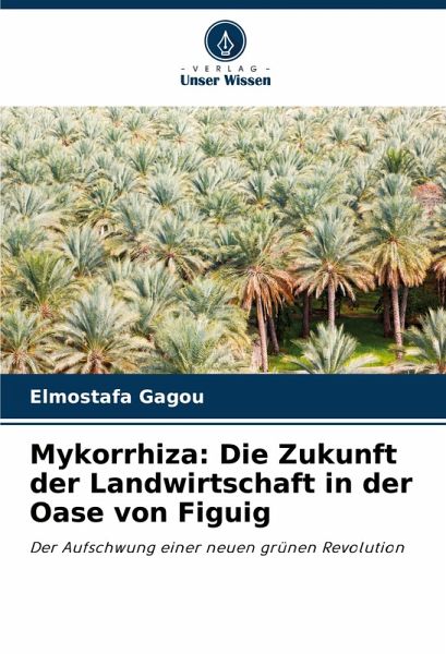Mykorrhiza: Die Zukunft der Landwirtschaft in der Oase von Figuig Mykorrhiza: Die Zukunft der Landwirtschaft in der Oase von Figuig