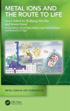 Cover Metal Ions and the Route to Life