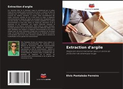 Extraction d'argile - Pantaleão Ferreira, Elvis