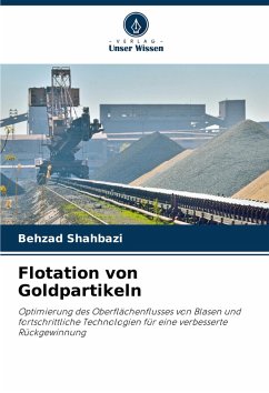 Cover Flotation von Goldpartikeln