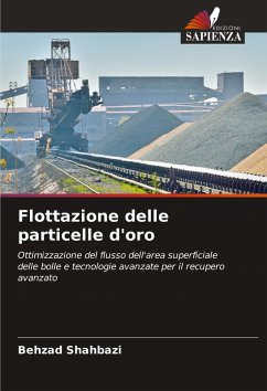 Cover Flottazione delle particelle d'oro