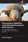 Panoramica didattica sull'addomesticamento delle pecore Panoramica didattica sull'addomesticamento delle pecore