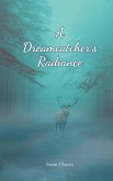 A Dreamcatcher's Radiance