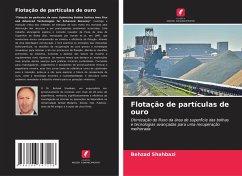 Cover Flotação de partículas de ouro