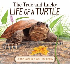 Cover The True and Lucky Life of a Turtle