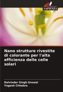 Cover Nano strutture rivestite di colorante per l'alta efficienza delle celle solari