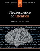 Neuroscience of Attention