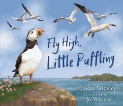 Cover Fly High, Little Puffling