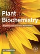 Plant Biochemistry (eBook, ePUB) - Bild 1