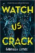 Watch Us Crack (eBook, ePUB) - Bild 1