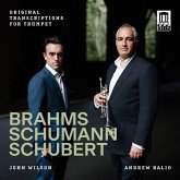 Brahms,Schumann & Schubert: Originaltranskriptione