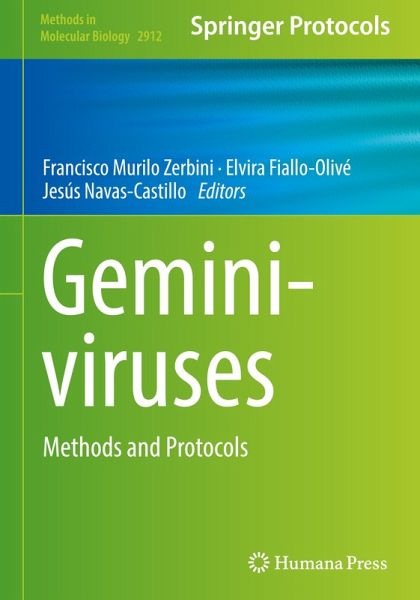 Geminiviruses