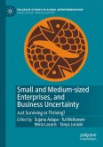 Small and Medium-sized Enterprises, and Business Uncertainty