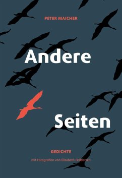 Andere Seiten - Maicher, Peter