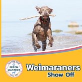 Weimaraners Show Off Weimaraners Show Off