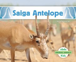 Cover Saiga Antelope