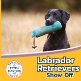 Labrador Retrievers Show Off Labrador Retrievers Show Off