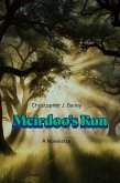 Meirdoo's Run (eBook, ePUB)